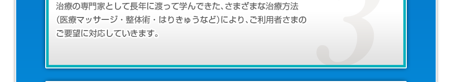 治療の専門家として長年に渡って学んできた、さまざまな治療方法（医療マッサージ・整体術・はりきゅうなど）により、ご利用者さまのご要望に対応していきます。